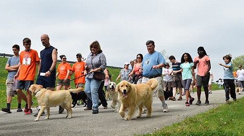5K Race - One Step Closer Animal Rescue (..), a non-profit rescue  in Sparta, NJ