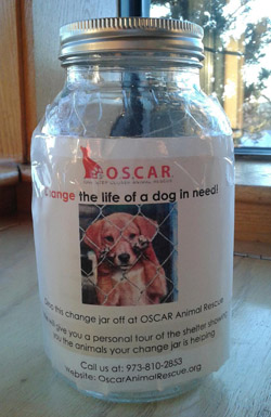 OSCAR Animal Rescue, Sparta, NJ